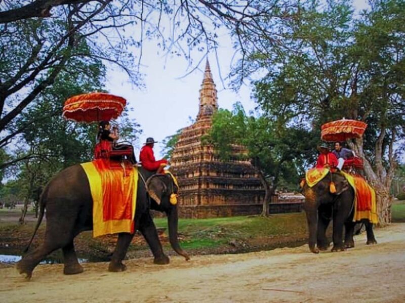From Bangkok: Ayutthaya Tour, Elephant Palace & Royal Kraal - Why Choose this Ayutthaya Tour?