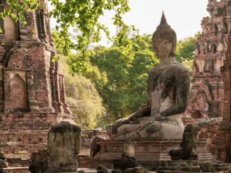 From Bangkok: Ayutthaya Tour, Elephant Palace & Royal Kraal - Highlights of the Itinerary