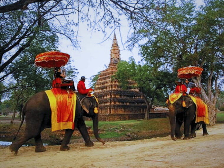 From Bangkok: Ayutthaya Tour, Elephant Palace & Royal Kraal - Transportation and Pick-up Service