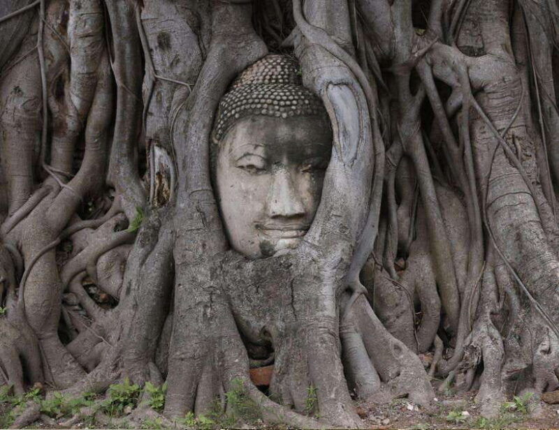 From Bangkok: Customizable Ayutthaya Full-Day Guided Tour - Good To Know