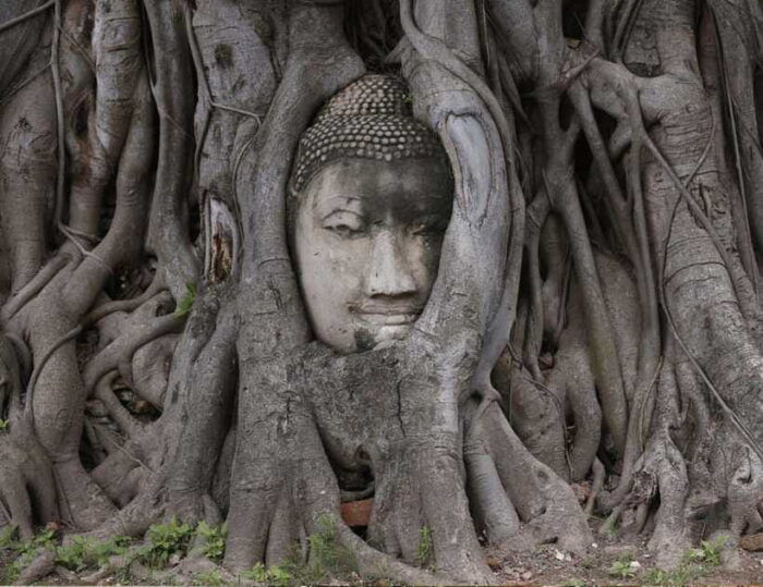 From Bangkok: Customizable Ayutthaya Full-Day Guided Tour - Wat Phra Sri Sanphet