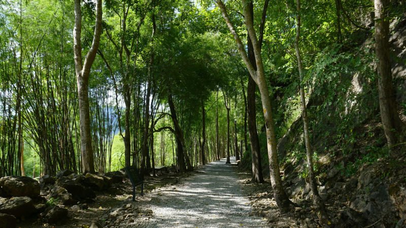From Bangkok: Death Railway & Hellfire Pass Tour with Lunch - Is this the right Kanchanaburi day trip for you?