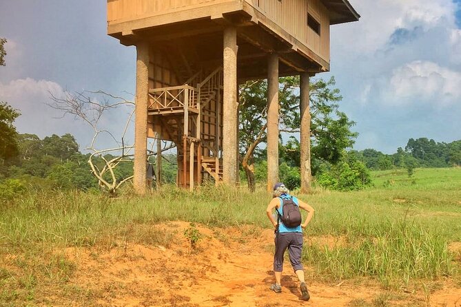 From Bangkok: Discover Khao Yai National Park Full Day - End Point