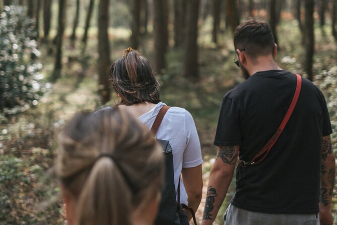 From Bangkok: Discover Khao Yai National Park Full Day - Common Questions