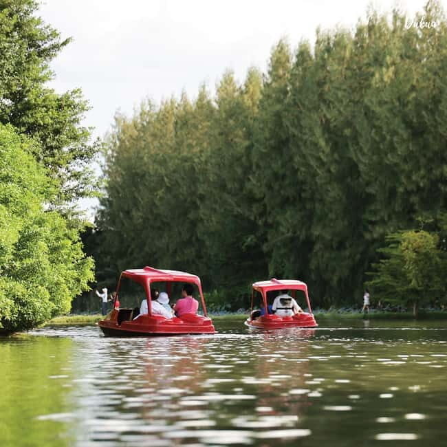 From Bangkok: Don Wai Market, Wat Samphran & Lotus Café Tour - Exploring the Itinerary: What to Expect