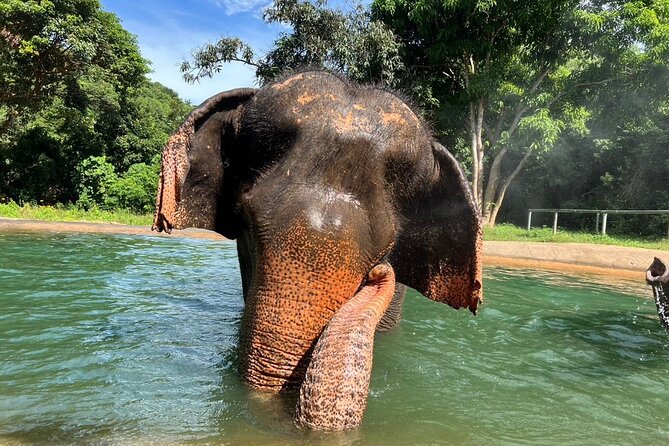 From Bangkok: Elephant Jungle Sanctuary Day Trip - Booking and Pricing Details