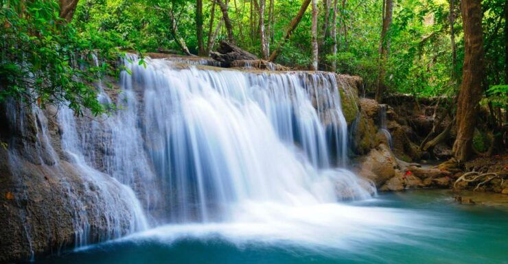 From Bangkok: Erawan Park & Elephant Feeding Private Tour - Tour Details