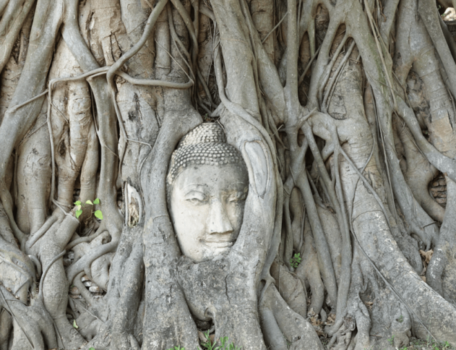 From Bangkok: Full-Day Guided Tour of Ayutthaya Ancient City - Inclusions and Exclusions