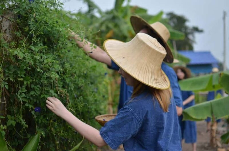 From Bangkok: Half Day Farm Tour w/ Thai Activities & Dinner - Practical Details and Considerations