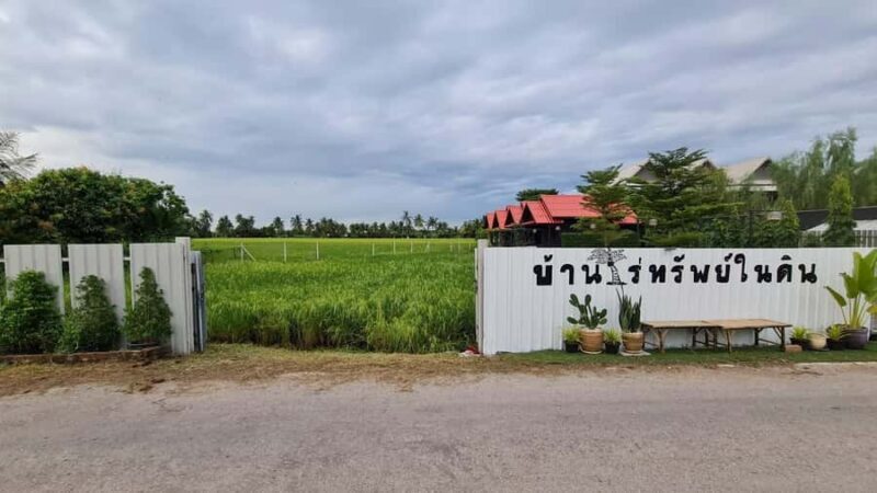 From Bangkok: Half Day Farm Tour w/ Thai Activities & Dinner - Who Will Love This Tour?