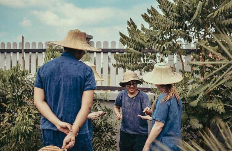 From Bangkok: Half Day Farm Tour w/ Thai Activities & Dinner - Final Thoughts