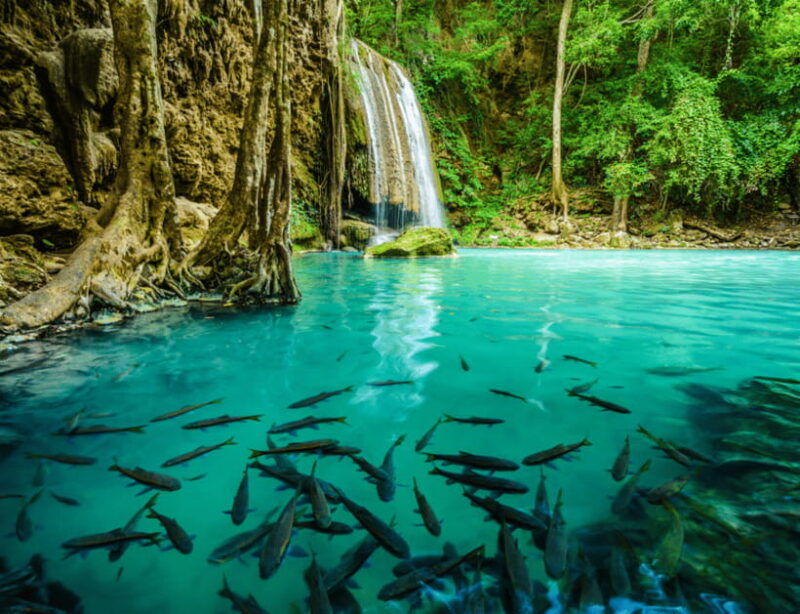From Bangkok: Kanchanaburi, River Kwai & Erawan Falls Tour - Good To Know