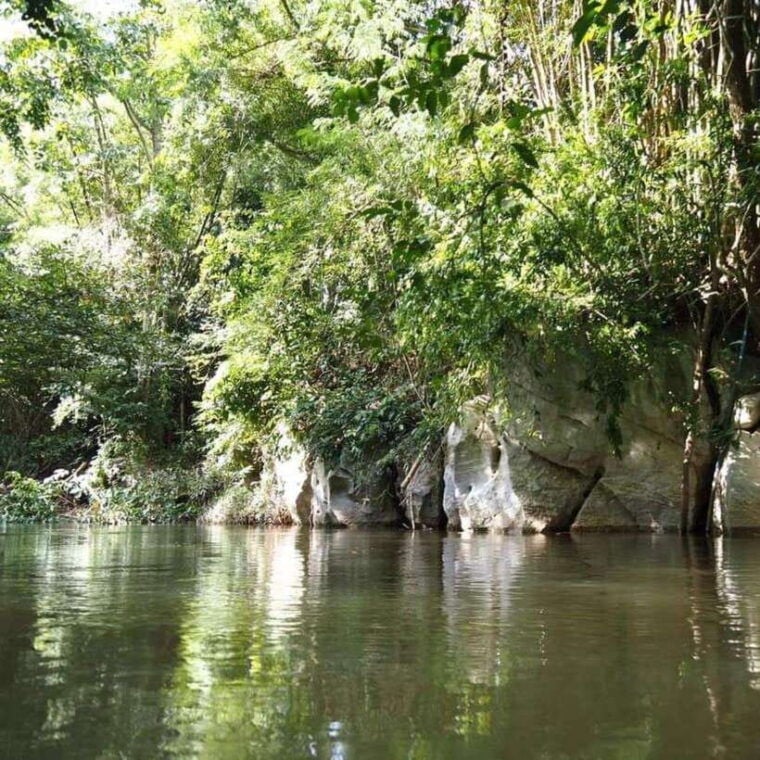 From Bangkok: Khao Yai National Park Day Trip - Transportation Details