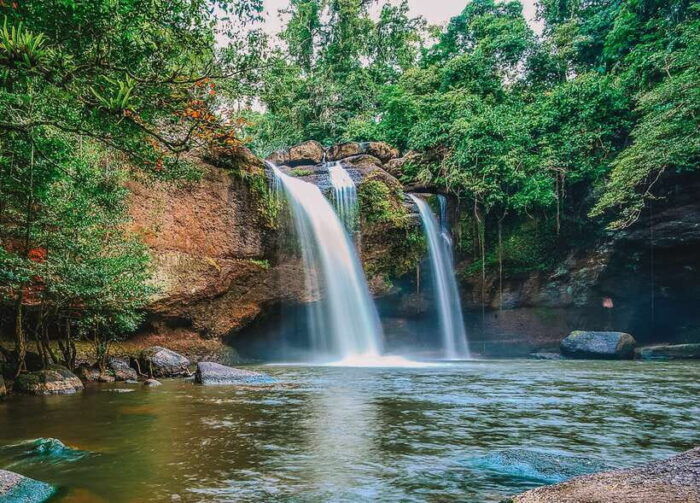 From Bangkok: Khao Yai National Park Small-Group Day Trip - Explore KM 33 - Nong Pak Chi Trail