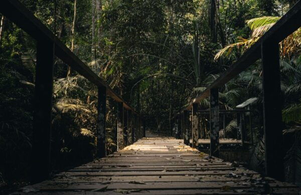 From Bangkok: Khao Yai National Park Small-Group Day Trip - Tips for a Memorable Day Trip
