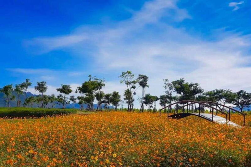From Bangkok: Khao Yai Private Charter With Multiple Options - Itinerary and Attractions