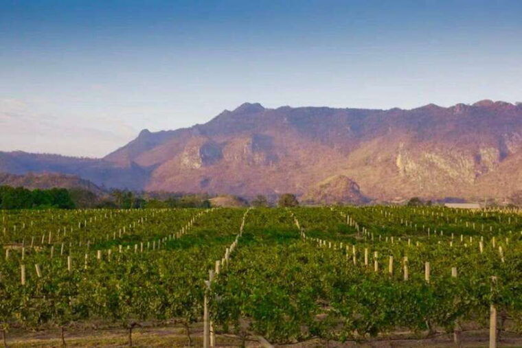From Bangkok: Khao Yai Private Charter With Multiple Options - Customizable Itinerary Options