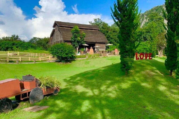From Bangkok: Khao Yai Private Charter With Multiple Options - Customer Reviews and Ratings