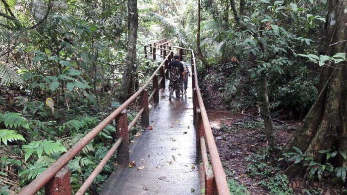 From Bangkok: Khao Yai Spectacular Waterfalls Day Trip - Scenic Landscapes and Wildlife Photography