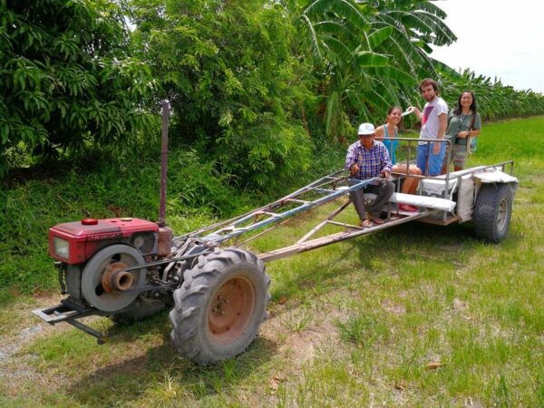 From Bangkok: Mahasawat Canal and Organic Fruit Farm Tour - Booking Information