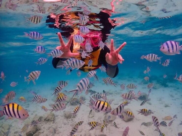 From Bangkok : Nemo Island Tour With Drone Photos and Lunch - Good To Know