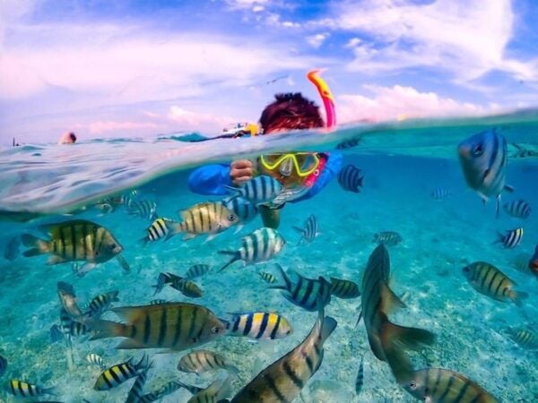 From Bangkok : Nemo Island Tour With Drone Photos and Lunch - Common Questions