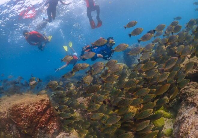 From Bangkok : Nemo Island Tour With Drone Photos and Lunch - Review Summary