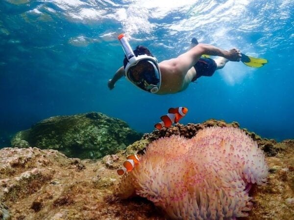 From Bangkok : Nemo Island Tour With Drone Photos and Lunch - Background