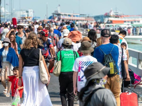 From Bangkok: Pattaya Beach & Coral Island Small Group Tour - Important Information and Tips