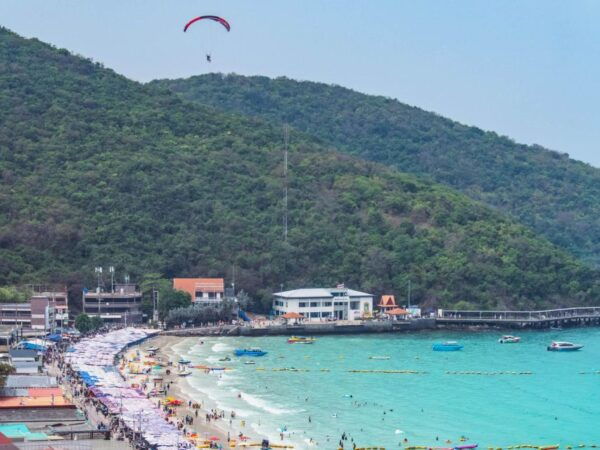 From Bangkok: Pattaya Beach & Coral Island Small Group Tour - Customer Reviews and Ratings