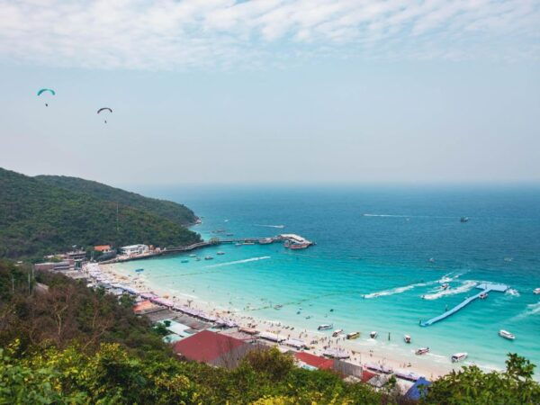 From Bangkok: Pattaya Beach & Coral Island Small Group Tour - The Sum Up
