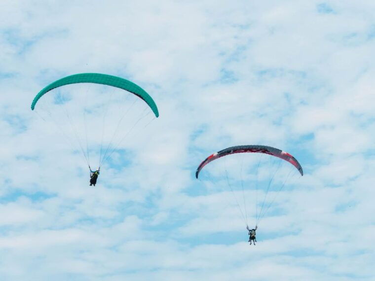 From Bangkok: Pattaya Koh Larn & Sanctuary of Truth Day Trip - Activities