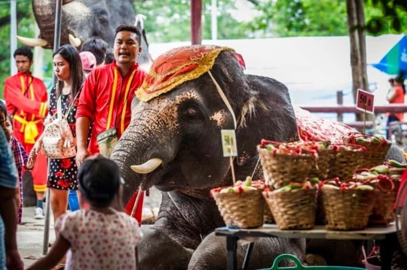 From Bangkok: Private Guided Ayutthaya Day Tour - Authentic Experiences & Real Traveler Insights
