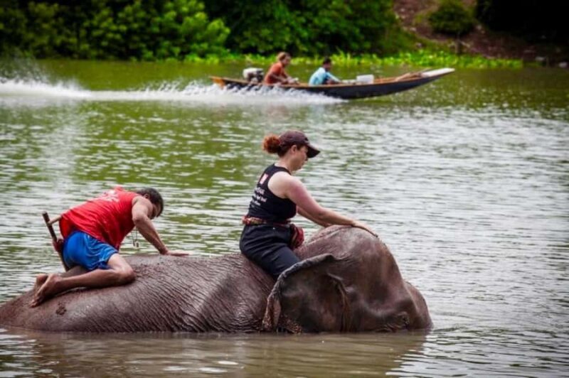 From Bangkok: Private Guided Ayutthaya Day Tour - Who Should Consider This Tour?