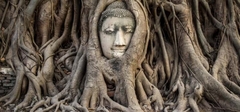 From Bangkok: Private Guided Ayutthaya Day Tour - Final Thoughts: Is It Worth It?