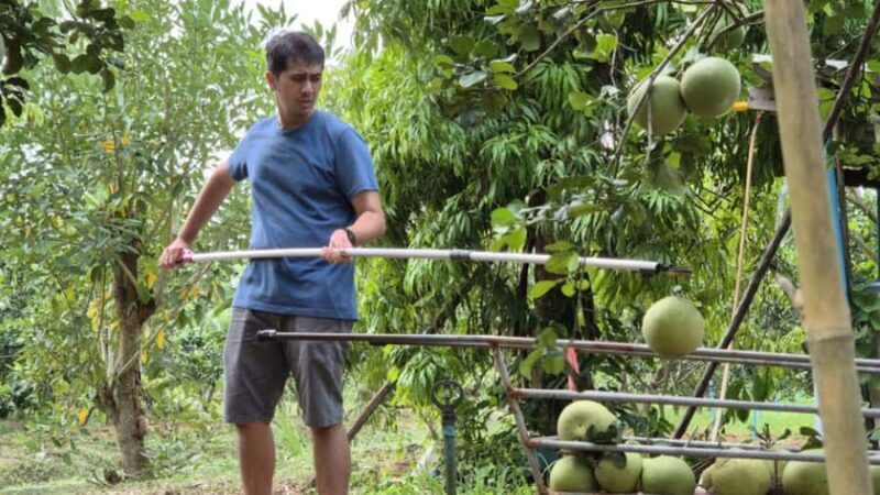 From Bangkok: Taste and Tune of Samut Songkhram Private Tour - A Deep Dive into the Samut Songkhram Experience
