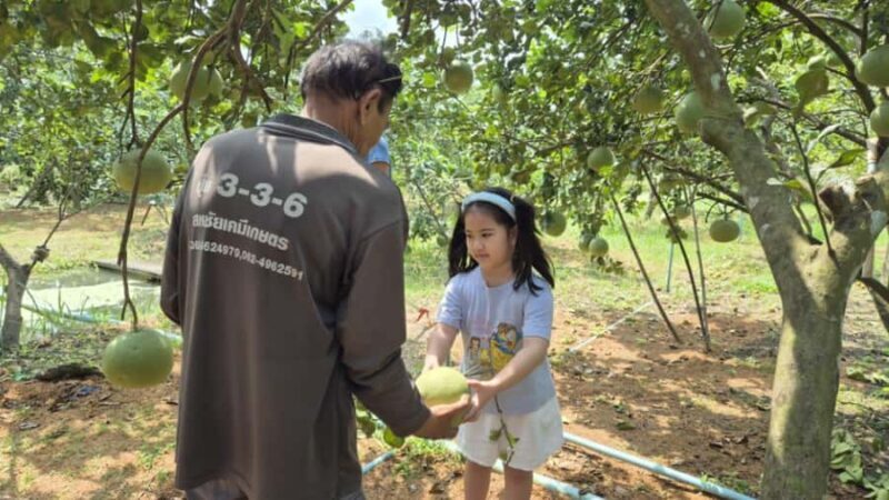 From Bangkok: Taste and Tune of Samut Songkhram Private Tour - Final Thoughts