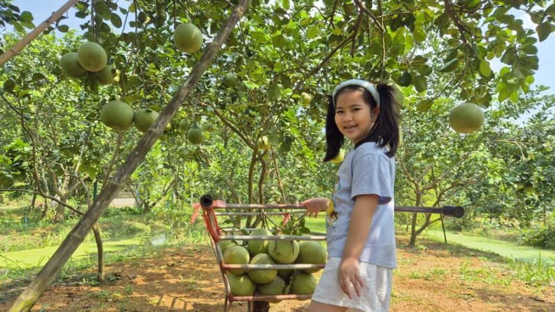 From Bangkok: Taste and Tune of Samut Songkhram Private Tour - Who This Tour Is Best For