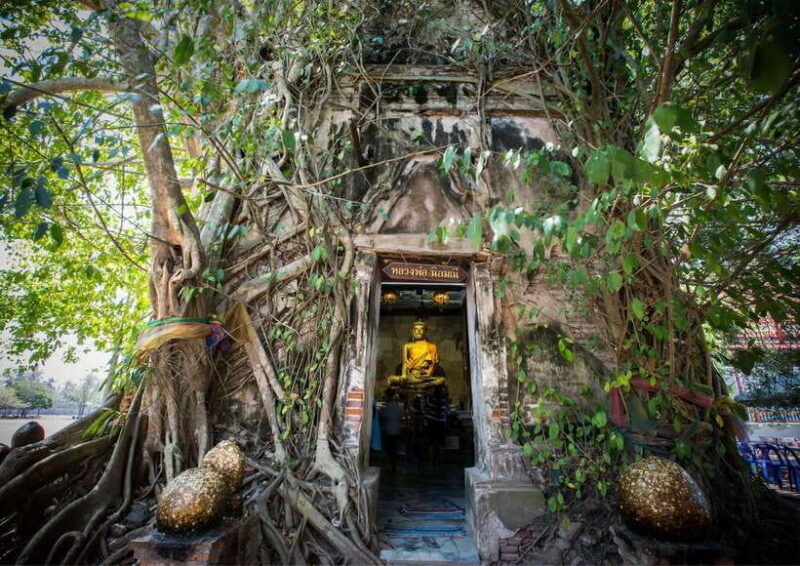 From Bangkok: Taste and Tune of Samut Songkhram Private Tour - Itinerary Highlights