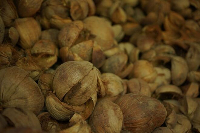 From Bangkok: Thaka Floating Market - Best Time to Visit Thaka Floating Market