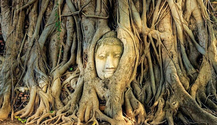 From Bangkok: Tour Ayutthaya + Lunch + Spanish Guide - Customer Feedback