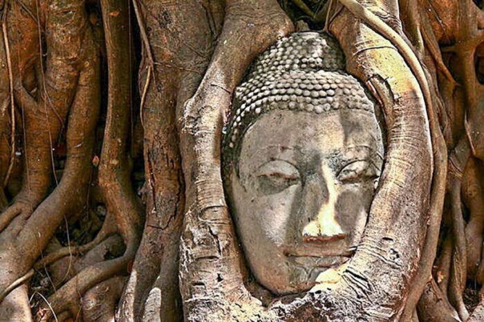 From Bangkok: Tour Ayutthaya + Lunch + Spanish Guide - Getting to Ayutthaya
