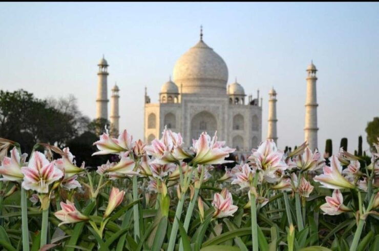 From Banglore: Private Guided Tajmahal Day Trip With Lunch - Trip Details
