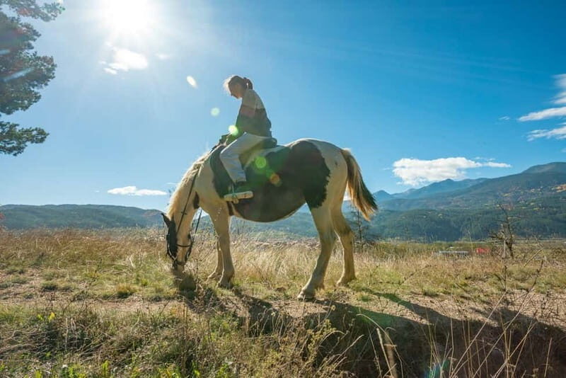 From Bansko: Horse Riding Experience - FAQs