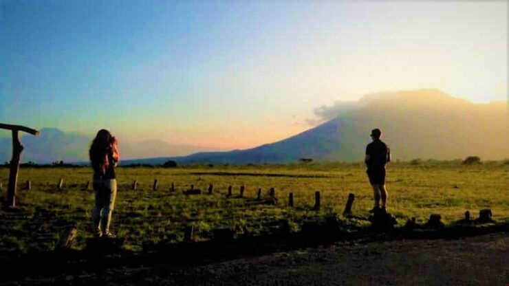 From Banyuwangi ; Baluran National Park & Snorkeling - Itinerary Details