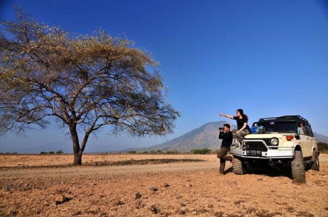 From Banyuwangi: Baluran Wildlife Safari Sunset Tour - Inclusions and Exclusions