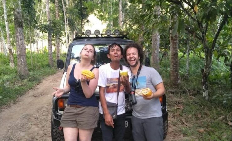 From Banyuwangi : Cheap Private Transfer to Kawah Ijen - Key Points