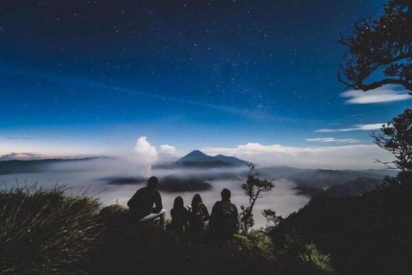 From Banyuwangi: Mt Bromo Sunrise, Tumpaksewu & Kapasbiru - Tour Inclusions