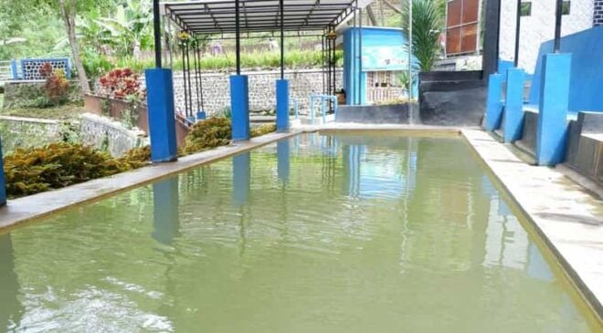 From Banyuwangi: Visit Blawan Hotspring & Acid Waterfall - Blawan Hotspring Experience