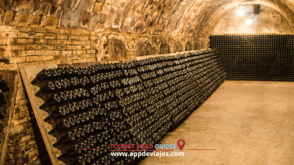 From Barcelona: 4X4 Off-Road Course, Lunch & Penedes Winery - Frequently Asked Questions